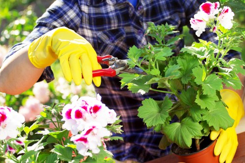 Overgrown garden clearance in St Johns with waste removal