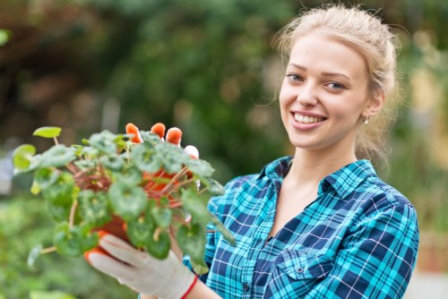 Tree lopping and removal service in St Johns for overgrown branches