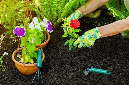 Lawn care and garden maintenance services in St Johns