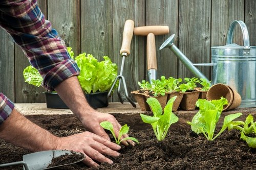St Johns gardeners shaping a healthy and attractive landscape