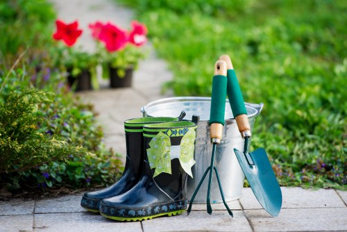 Professional hedge maintenance improving hedge shape and density in St Johns