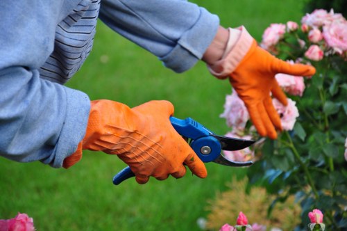 Professional gardeners in St Johns restoring order and structure to a garden
