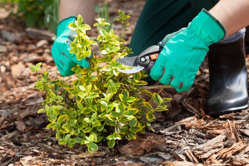 Gardeners in St Johns maintaining structured and beautiful gardens