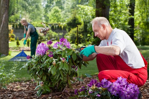 Weeding and pruning during garden maintenance in St Johns