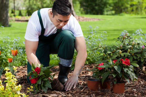 Hard landscaping in St Johns featuring patios, edging, and structured garden design
