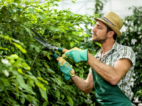 Curb appeal improvements through gardening services in St Johns