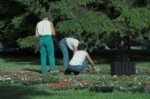Edging and trimming as part of lawn mowing in St Johns