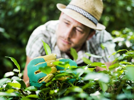 Professional landscaping in St Johns with patio and lighting
