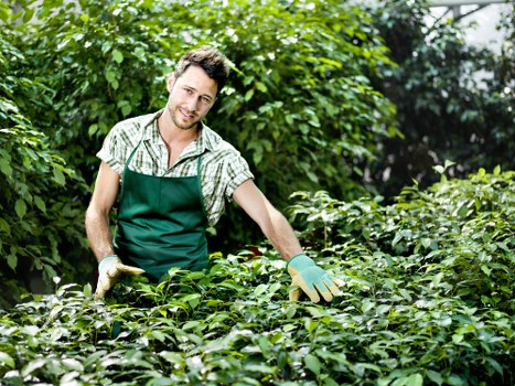 Reporting channels and worker protection in the Gardeners St Johns supply chain