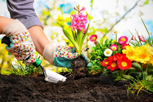 Professional garden maintenance in St Johns for a well-kept outdoor space