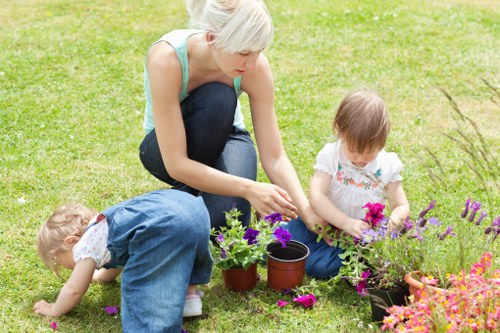 Seasonal lawn care in St Johns for greener, stronger grass