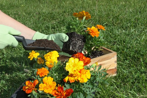 Local lawn care in St Johns focusing on watering and grass health