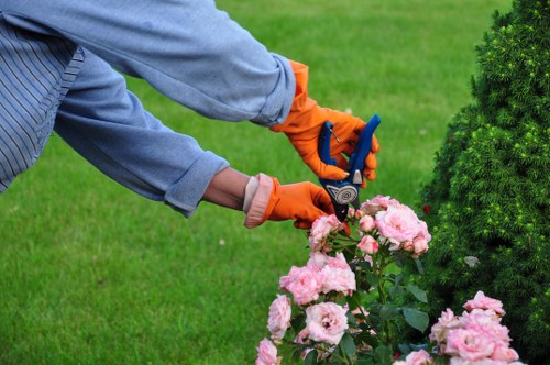 Removing moss and algae during patio cleaning in St Johns