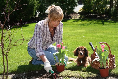 Charitable reuse of garden items and materials from Gardeners St Johns projects