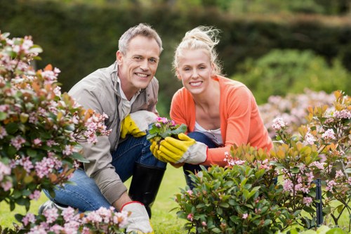 Garden specialist shaping tall hedges in St Johns for kerb appeal