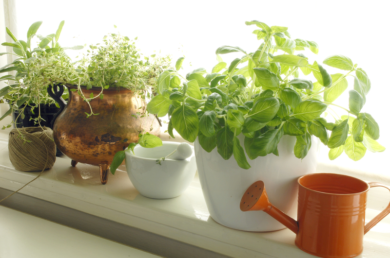 garden care garden