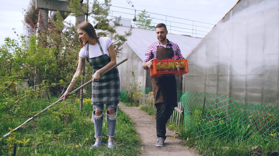 Gardeners St Johns real cost guide for common jobs